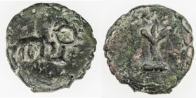 TAXILA: Anonymous, 2nd-1st century BC or later, AE round 19 (3.59g), lion & uncertain object (mirror?) // tree, tentative assignment to Taxila by the ...