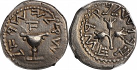 JUDAEA. First Jewish War, 66-70 C.E. AR Shekel (14.11 gms), Jerusalem Mint, Year 1 (66/7 C.E.). NGC Ch EF★, Strike: 4/5 Surface: 5/5.
Meshorer-187; H...
