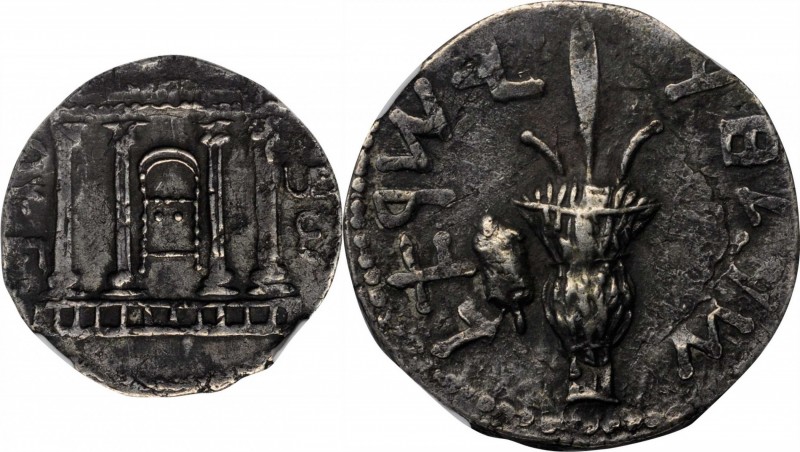 JUDAEA. Bar Kochba Revolt, C.E. 132-135. AR Sela (14.47 gms), Jerusalem Mint, Ye...