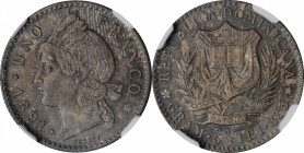 DOMINICAN REPUBLIC. Franco, 1891-A. Paris Mint. NGC MS-65.
KM-11. One-year type. A stunning Gem example with deep gray and blue intermingled tone ove...