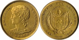 EL SALVADOR. 20 Pesos, 1892-C.A.M. Central American (San Salvador) Mint. NCS EF Details--Mount Removed.
Fr-1; KM-119. Mintage: 300. An incredibly RAR...