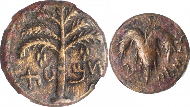 JUDAEA. Bar Kochba Revolt, 132-135 C.E. AE 23mm, Jerusalem Mint, Year 2 (133/4 C...