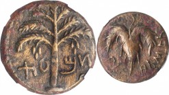 JUDAEA. Bar Kochba Revolt, 132-135 C.E. AE 23mm, Jerusalem Mint, Year 2 (133/4 C.E.). NGC Ch VF.
Mildenberg-92 (O7/R56); Meshorer-259b; Hendin-1408a....