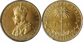 BRITISH WEST AFRICA. Shilling, 1936-KN. Kings Norton Mint. PCGS SPECIMEN-66 Gold Shield.
KM-12a. A sharply struck example as would be expected with h...