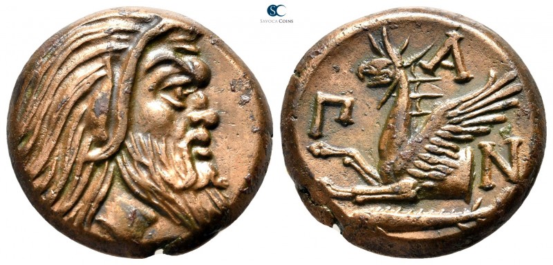 Cimmerian Bosporos. Pantikapaion circa 310-304 BC. 
Bronze Æ

22 mm., 6,91 g....