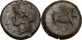 Greek Italy. Samnium, Southern Latium and Northern Campania, Cales. AE 20mm, 265-240 BC. D/ Head of Apollo left, laureate. R/ Man-headed bull right; a...