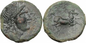 Greek Italy. Northern Apulia, Salapia. AE 21mm, 225-210 BC. D/ Head of Apollo right, laureate. R/ Horse prancing right; above, wreath. HN Italy 692c. ...