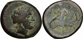 Greek Italy. Northern Lucania, Paestum. AE 20 mm, first Punic War, 264-241. D/ Laureate head of Neptune right. R/ Dolphin rider left. Cf. HN Italy 118...