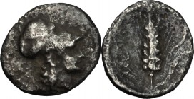 Greek Italy. Southern Lucania, Metapontum. AR Diobol, circa 325-275 BC. D/ Helmeted head of Athena right. R/ Ear of barley; to right, cornucopiae. Joh...