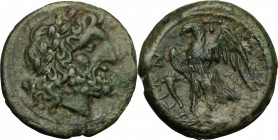 Greek Italy. Bruttium, The Brettii. AE Unit, 214-211 BC. D/ Head of Zeus right, laureate. R/ Eagle standing left on thunderbolt, wings open; before, c...