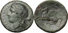 Sicily. Syracuse. Timoleon and the Third Democracy (344-317 BC). AE 19mm, 336-317 BC. D/ Head of Apollo left, laureate; behind, poppy-head. R/ Pegasos...