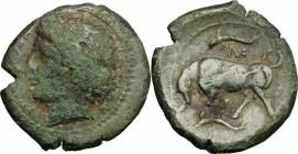 Sicily. Syracuse. Agathokles (317-289 BC). AE 23mm. D/ Head of nymph left. R/ Bull charging left; above, dolphin and monogram; below, dolphin. CNS II,...