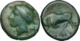 Sicily. Syracuse. Agathokles (317-289 BC). AE 16 mm. D/ Head of nymph left. R/ Bull charging left. CNS II, 110 (Ds. 84. Rl 37). AE. g. 2.68 mm. 16.00 ...