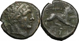 Sicily. Syracuse. Agathokles (317-289 BC). AE 22mm. D/ Head of youthful Herakles right, wearing taenia; behind, bow. R/ Lion advancing right, raising ...