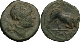 Sicily. Tauromenion. Roman Rule. AE 15mm, after 216 BC. D/ Head of Dionysos right, wearing ivy-wreath. R/ Bull butting right. CNS III, 42. AE. g. 2.30...