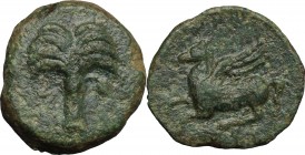Punic Sicily. AE 16mm, Late 4th-early 3rd century BC. D/ Palm-tree. R/ Pegasos flying left. SNG Cop. 107-108. AE. g. 2.67 mm. 16.00 Olive-green patina...