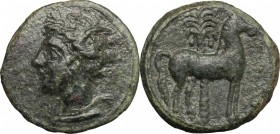 Punic Sicily. AE 16mm, late 4th-early 3rd century BC. D/ Head of Tanit left, wearing wreath of corn-ears. R/ Horse standing right; behind, palm-tree. ...