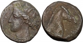 Africa. Zeugitania, Carthage. AE 19mm, Sardinia mint, 300-264 BC. D/ Head of Tanit left, wearing wreath. R/ Head of horse right. SNG Cop. 150. AE. g. ...