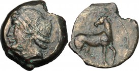 Africa. Zeugitania, Carthage. AE 21mm, Italian mints, 215-205 BC. D/ Head of Tanit left, wearing wreath. R/ Horse standing right, head turned back. SN...