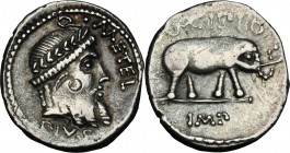 Q. Caecilius Metellus Pius Scipio. AR Denarius, 47-46 BC. D/ Q. METEL [PIVS]. Laureate head of Jupiter right. R/ Elephant right; above, SCIPIO; in exe...