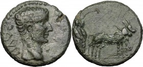Tiberius (14-37). AE 16 mm, Philippi (?) mint, Macedon. D/ Bare head right. R/ Two priets driving yoke of oxen right, plowing pomerium. RPC I 1657. AE...