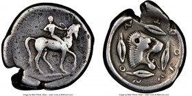 SICILY. Leontini. Ca. 475-455 BC. AR didrachm (22mm, 8.32 gm, 4h). NGC Fine 5/5 - 3/5. Nude rider on horseback trotting right, looped rein in left han...