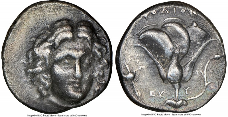 CARIAN ISLANDS. Rhodes. Ca. 305-275 BC. AR didrachm. NGC VF. Head of Helios faci...