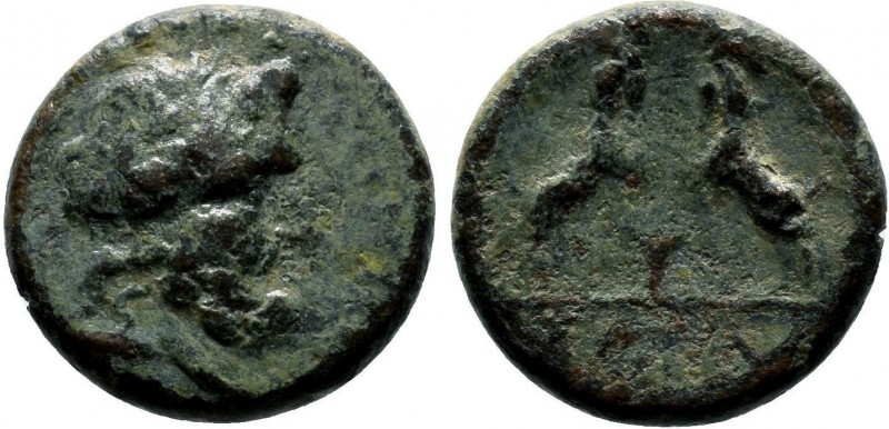 Pisidia Sagalassos Æ / Zeus / Two goats, 1st Century BC-!st Century AD

Conditio...