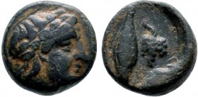 Troas, Neandria, 4th century BC. Æ (11mm, 1.12g, 6h). Laureate head of Apollo r. R/ Barley grain; grape bunch to r. SNG Ashmolean 1174;

Condition: Ve...