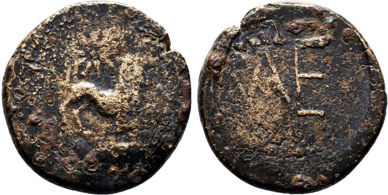 KINGS OF BOSPOROS. Polemo I (Circa 37-8 BC). AE. Pantikapaion.Obv: Lion springin...