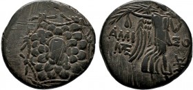 PONTOS. Amisos. Ae (85-65 BC). 

Condition: Very Fine

Weight: 6.4 gr
Diameter: 20 mm