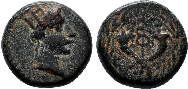 Uncertain Coin !!!

Condition: Very Fine

Weight: 5.2 gr
Diameter: 16 mm