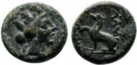 Greek Coin , Ae

Condition: Very Fine

Weight: 3.0 gr
Diameter:12 mm