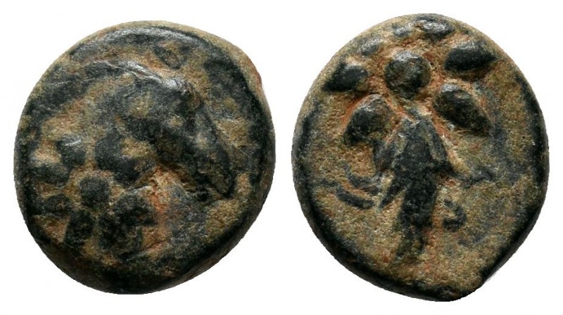 PONTOS. Uncertain. Ae (Circa 130-100 BC).

Condition: Very Fine

Weight: 2.7 gr
...