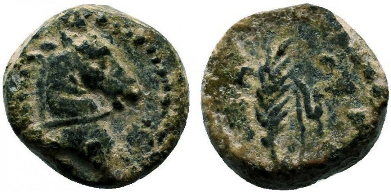 PONTOS. Uncertain. Ae (Circa 130-100 BC).

Condition: Very Fine

Weight: 2.7 gr
...