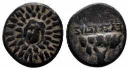 CAPPADOCIA. Caesarea (as Eusebeia). Ae (Circa 36 BC-17 AD).
Obv: Aegis with facing gorgoneion.
Rev: EYΣEΒEIAΣ / T.
Mt. Argaeus.
Lindgren III 945; Syde...