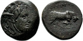SELEUKID KINGS OF SYRIA. Seleukos I Nikator (312-281 BC). Ae. Antioch.

Condition: Very Fine

Weight: 7.2 gr
Diameter: 20 mm