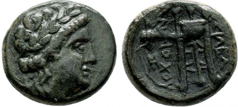SELEUKID KINGS OF SYRIA. Antiochos II Theos (261–246 BC). Ae. Sardes.
Obv: Laure...