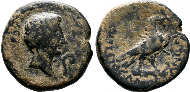 Augustus - Phrygia AE of Amorium (27 BC-14 AD), rare 10 specimens in RCP, eagle,...
