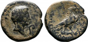 Augustus - Phrygia AE of Amorium (27 BC-14 AD), rare 10 specimens in RCP, eagle, lituus Obv: Bare head of Augustus, right; before, lituus. Legend: ϹƐΒ...