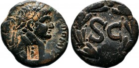 SYRIA, Seleucis and Pieria. Antioch. Domitian ,( 81-96 AD).AE Bronze. IMP DOMITIANVS CAES AVG Laureate head of Domitian to right ( countermark ) / Lar...