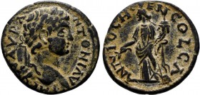 PISIDIA. Antioch.Caracalla.(198-217 AD).AE Bronze.IMP C M AVR ANTONI AV. laureate head right / ANTIOCH GENI COL CA, Tyche or female genius of the city...