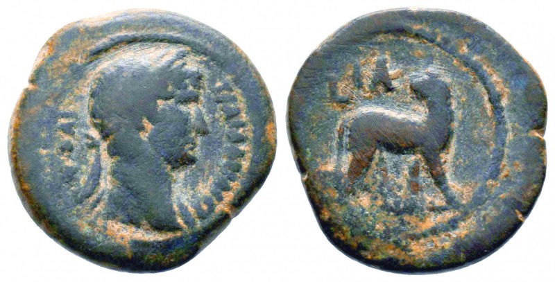 EGYPT. Alexandria. Hadrian (117-138AD). Obol. ΑΥΤ ΚΑΙ ΤΡΑΙ ΑΔΡΙΑ СЄΒ. Laureate h...