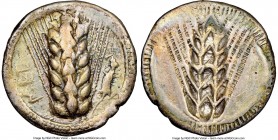 LUCANIA. Metapontum. Ca. 510-470 BC. AR stater (24mm, 7.92 gm, 12h). NGC VF 5/5 - 3/5. MET, barley ear of seven grains; lizard to right / Incuse of ba...