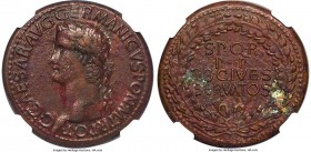 Caligula (AD 37-41). AE sestertius (35mm, 26.35 gm, 6h). NGC XF 5/5 - 2/5, Fine Style. Rome, AD 37-38. C CAESAR AVG GERMANICVS PON M TR POT, laureate ...