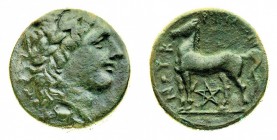 bruttium 
Nuceria - Obolo databile al periodo 325-300 a.C. - Diritto: testa laureata di Apollo a destra; sotto la testa un granchio - Rovescio: caval...
