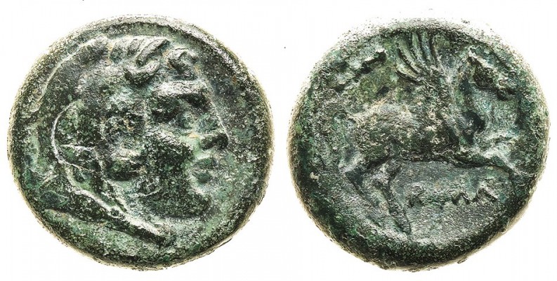monete romane repubblicane 
Doppia Litra romano-campana databile al periodo 230...