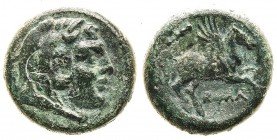 monete romane repubblicane 
Doppia Litra romano-campana databile al periodo 230-226 a.C. - Zecca: Roma - Diritto: testa di Ercole a destra con mazza ...