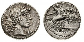 monete romane repubblicane 
Denaro al nome C.VIBIVS C.F PANSA databile al 90 a.C. - Zecca: Roma - Diritto: testa laureata di Apollo a destra - Rovesc...