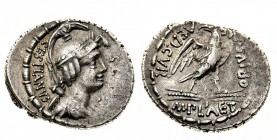 monete romane repubblicane 
Denaro al nome M.PLAETORIVS M.F CESTIANVS AED. CVR databile al 67 a.C. - Zecca: Roma - Diritto: busto femminile drappeggi...